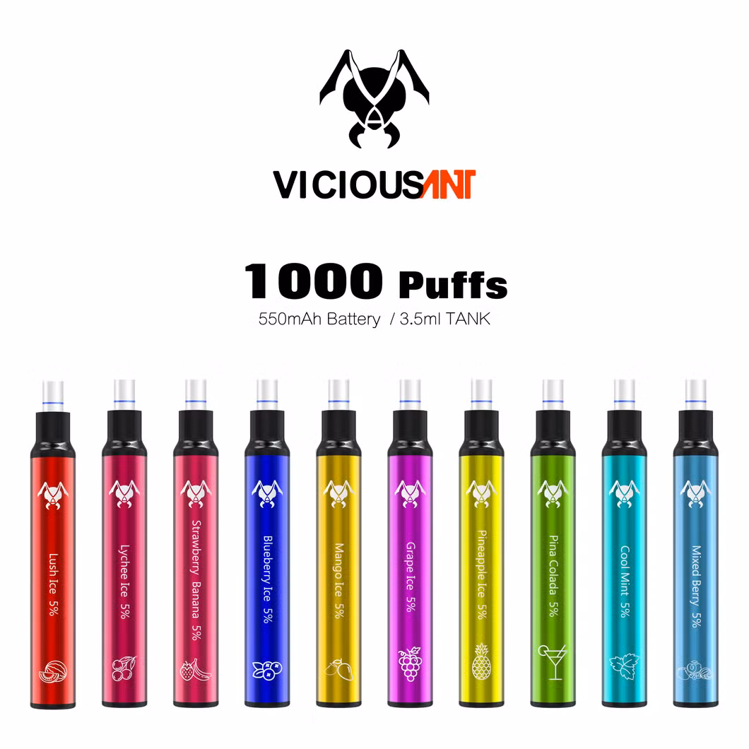 2021 OEM Best Selling 1000 Puffs Starter Kit Disposable Vape Pen Cigarette Vape