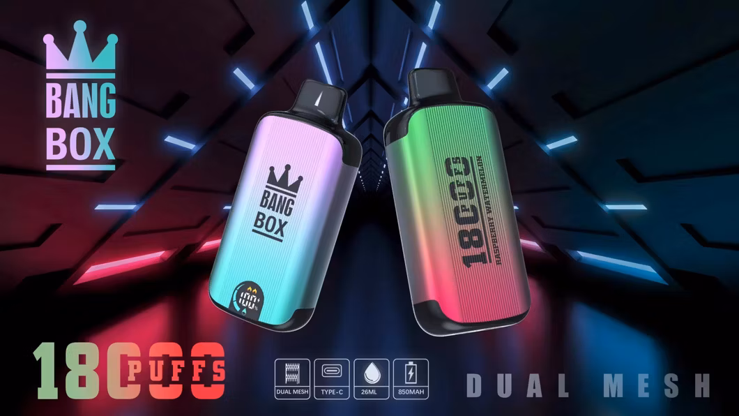 Fashionable Dual Molds Design Small Size Big Vapor Smooth Taste Bang Box 9K-18K Disposable E Cig