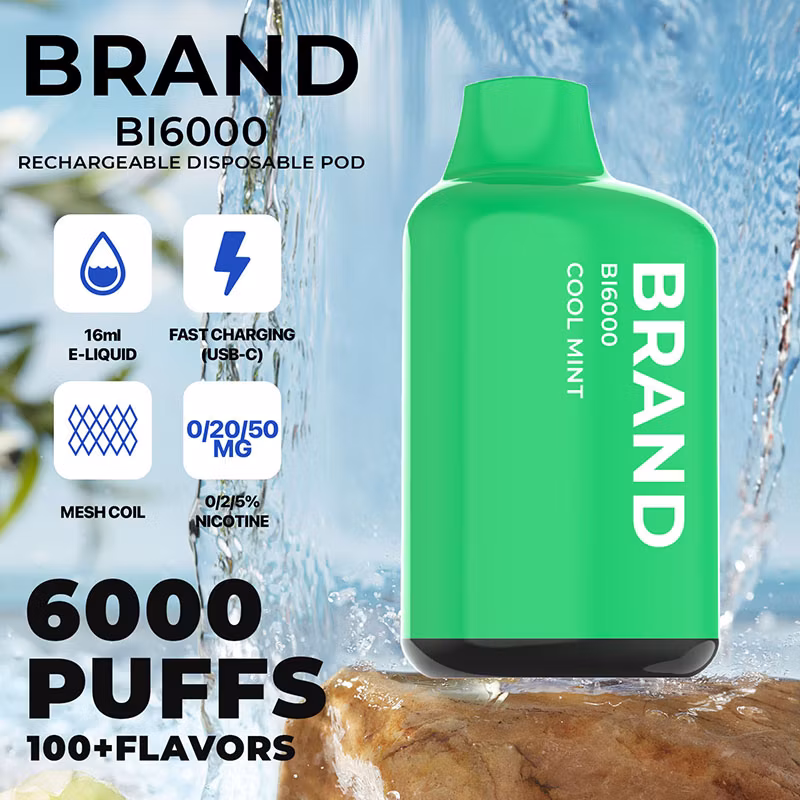 2023 Hidi OEM ODM Private Brand White Label Rechargeable 12 Flavors 6000 Puff Ceramic Mesh Core Disposable Vape	Vapes Disposable 600 Puffs