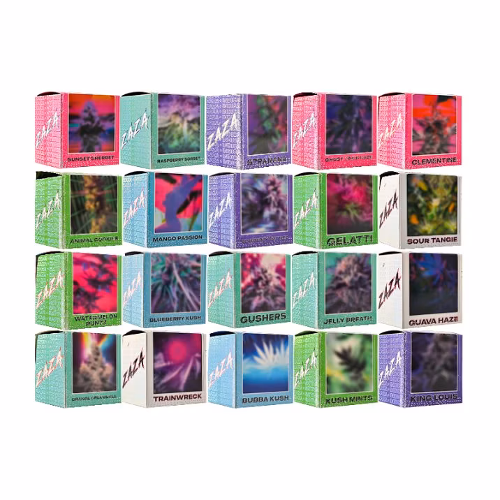 Zaza 1ml 1gram 20 Flavors Type C Charger Rechargeable Starter Disposable Vape Kit Empty Disposable Vape Pen