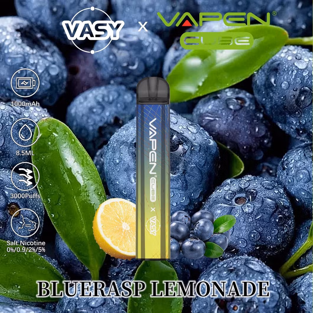Vasy Cube 3000 Puffs Disposable Vape Wholesale E Cigarette 1000 mAh Battery