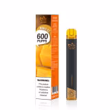 New Design High Quality Disposable E-Cigarettes 600 Puffs Vape Competitive Price OEM Logo Customized Accept