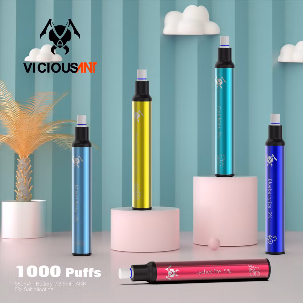 2021 OEM Best Selling 1000 Puffs Starter Kit Disposable Vape Pen Cigarette Vape