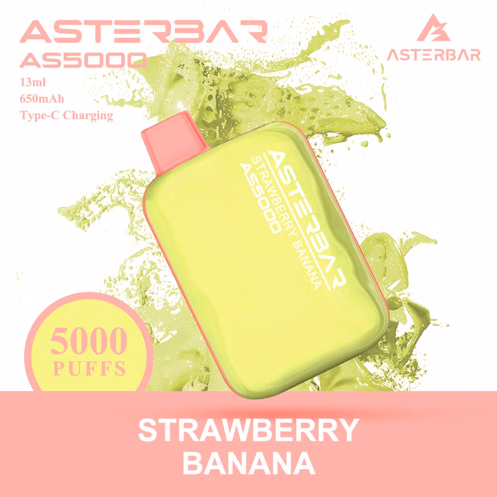 China Hight Quality Vape Supplier E- Cig 650mAh Asterbar as 5000 Puffs Disposable 12ml Vape Pod
