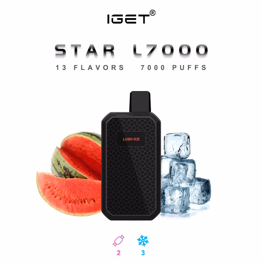 Hot Selling Disposable Vape Shipping 7000 Puffs Highest Quality