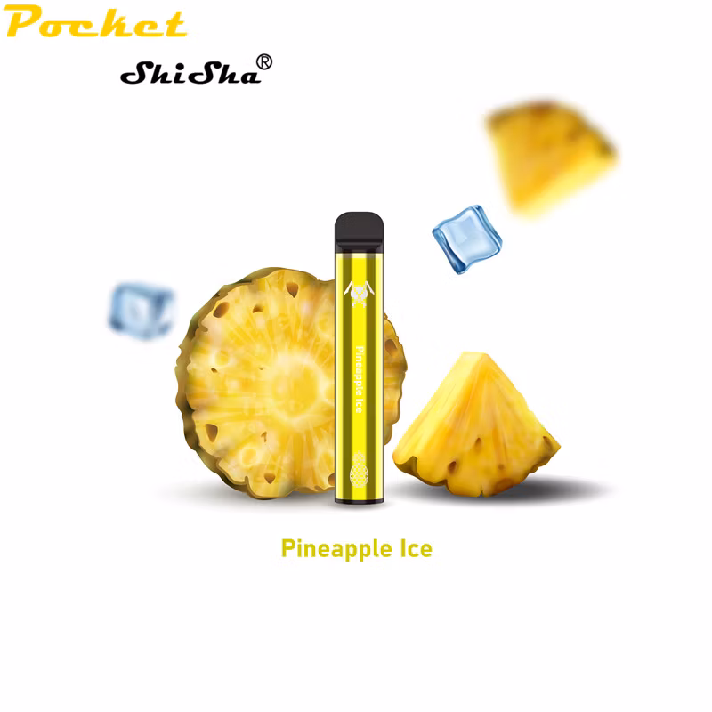 1000 Puffs E-CIGS Factory Price Different Flavors Available Disposable Vape Pen Viciousant
