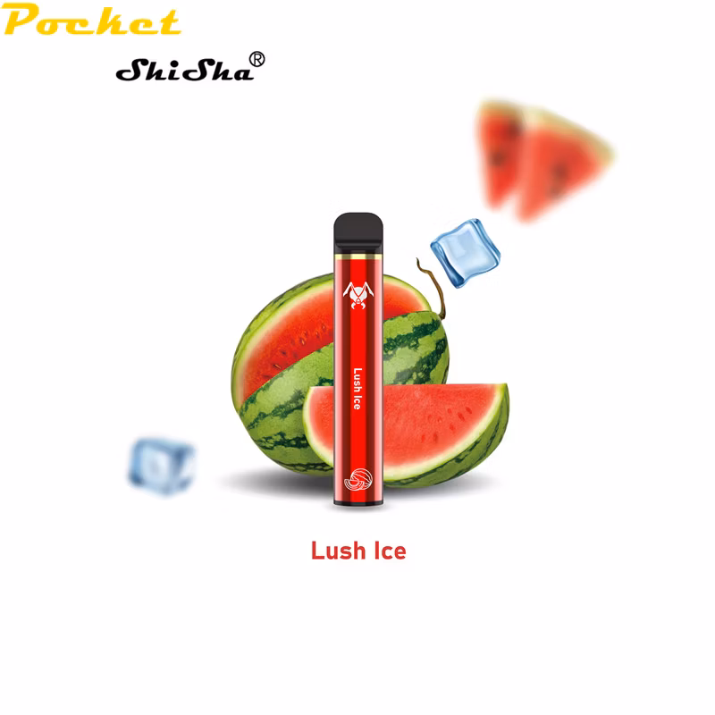 1000 Puffs E-CIGS Factory Price Different Flavors Available Disposable Vape Pen Viciousant