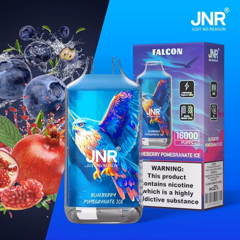 Jnr Falcon 16000 Puff Warehouse in Stock Bang 25000 Zbood Mecha Diamond Priv Vape Disposable Vape