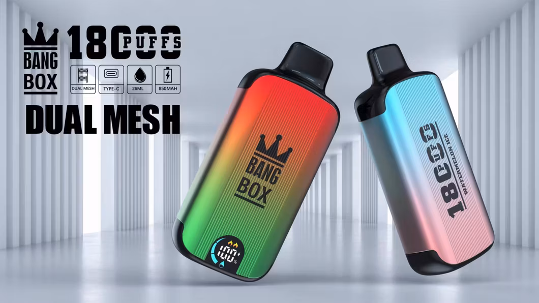 Fashionable Dual Molds Design Small Size Big Vapor Smooth Taste Bang Box 9K-18K Disposable E Cig