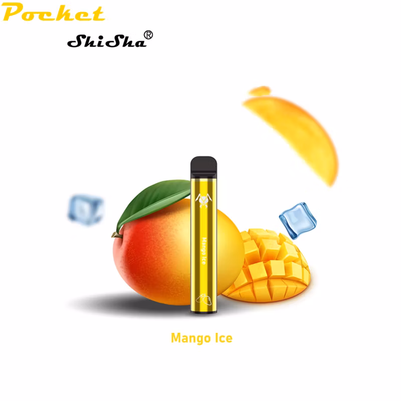 1000 Puffs E-CIGS Factory Price Different Flavors Available Disposable Vape Pen Viciousant