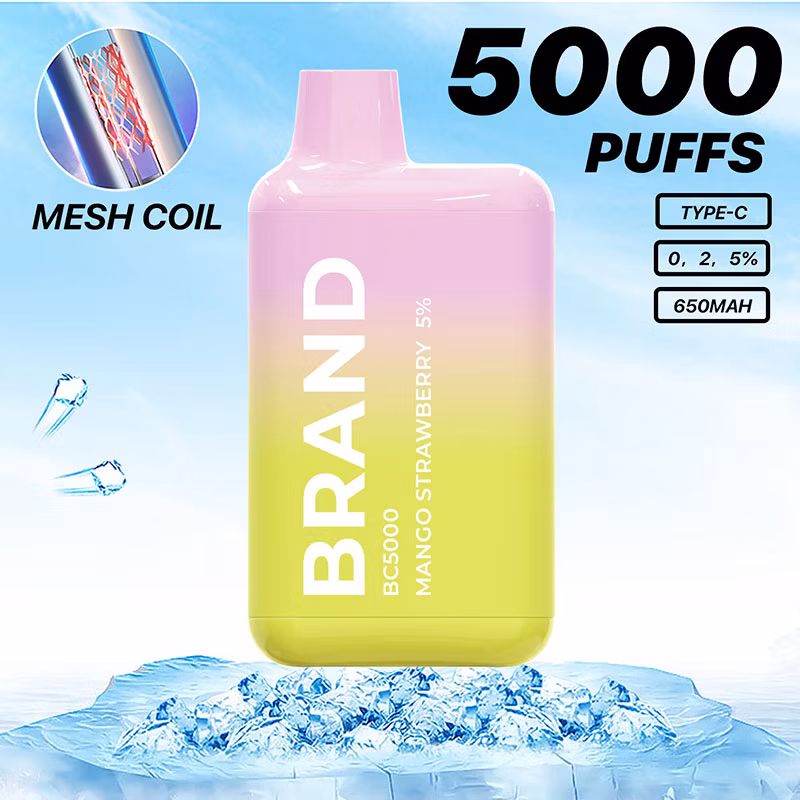 2024 Hidi Hot Wholesale OEM ODM Rechargeable 12 Flavors 5000 Puff Vape	Vape Mini Cup
