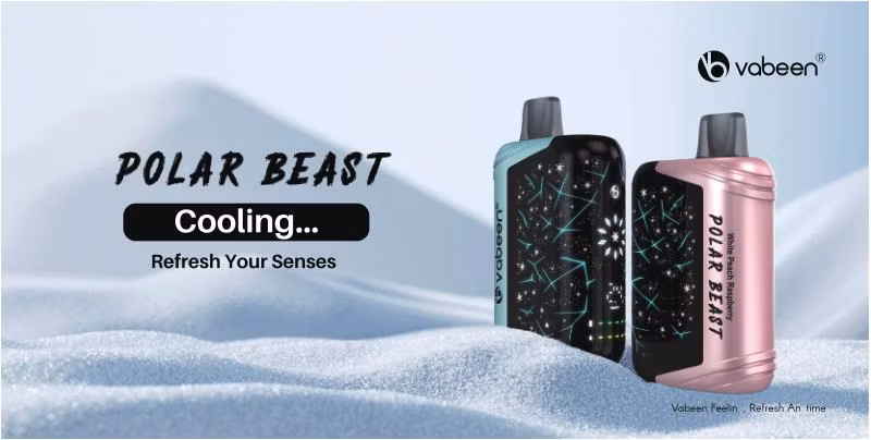 Fashionable Dual Molds Design Small Size Big Vapor Smooth Taste Bang Box 9K-18K Disposable E Cig
