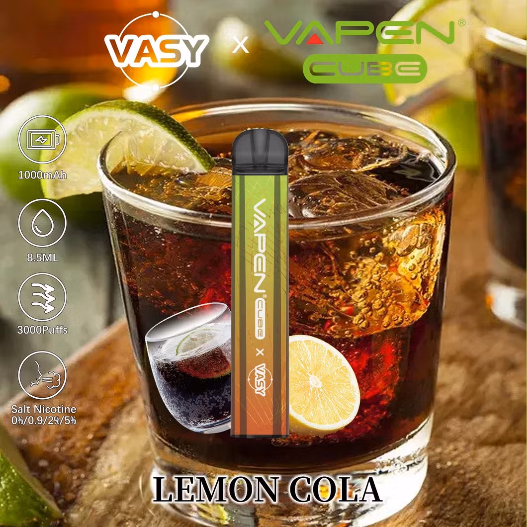 Vasy Cube 3000 Puffs Disposable Vape Wholesale E Cigarette 1000 mAh Battery