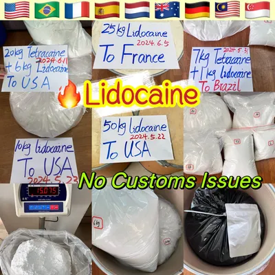 99% Pure <a href='/lidocaine-hydrochloride/'>Lidocaine Hydrochloride</a> Powder Safe Delivery to USA Australia France Spain Portugal Germany UK Malaysia Singapore etc