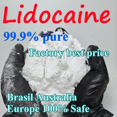 Manufacturer 99.9% High Quality Medicine Raw Material Lidocaine Powder <a href='/lidocaine-hydrochloride/'>Lidocaine Hydrochloride</a>