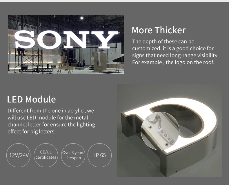 Environmental Friendly LED Fluorescent Facelit Logo Signage Display for Conference Building