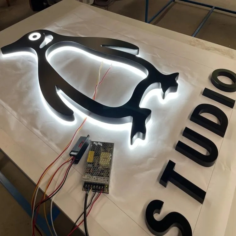 Back Lit LED Brushed Stainless Steel Channel Letters for Signs