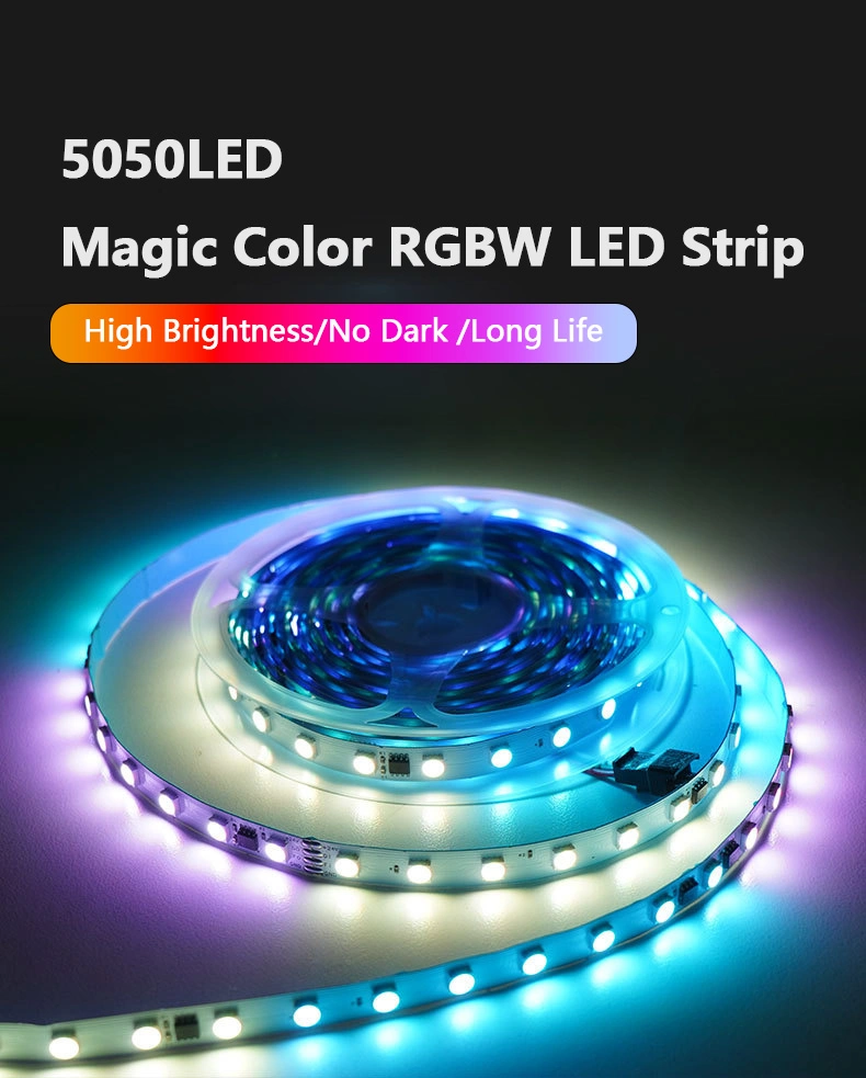 IP20 24V 5050RGBW 60LED/M External IC Full Color Wight Light LED Strip