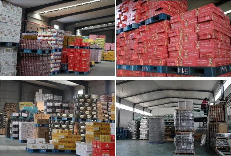 Selection of High Quality Barley and Rice Customization Flavor Light Beer Stout Beer Lager Beer Ale Beer Wheat Beer Refreshing Taste