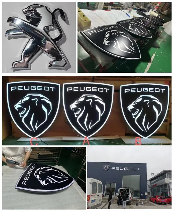 Custom Car Dealership LED Sign 3D Logos with The Names