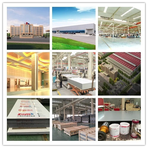 Aluminum Composite Panel /ACP/Acm/Aluminum Composite Sign