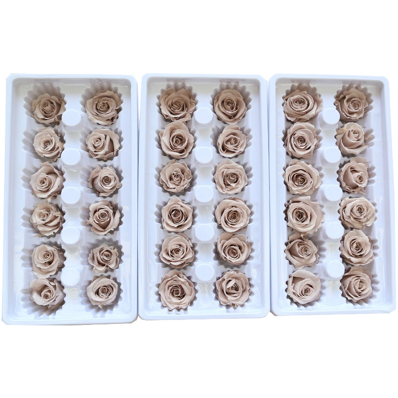 Preserved Rose Artificial Silk Soap Rose Dried Plant Preserved Pampas Moss