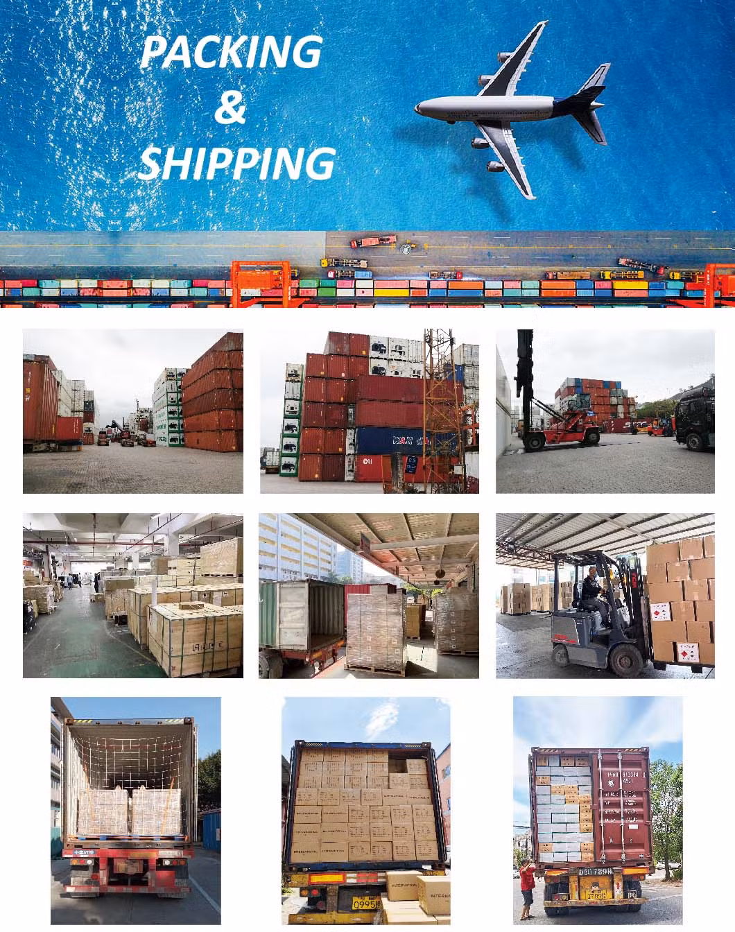 Freight Forwarder Logistics Company Cargo Service Shipping Agent From China to Arica, Chile