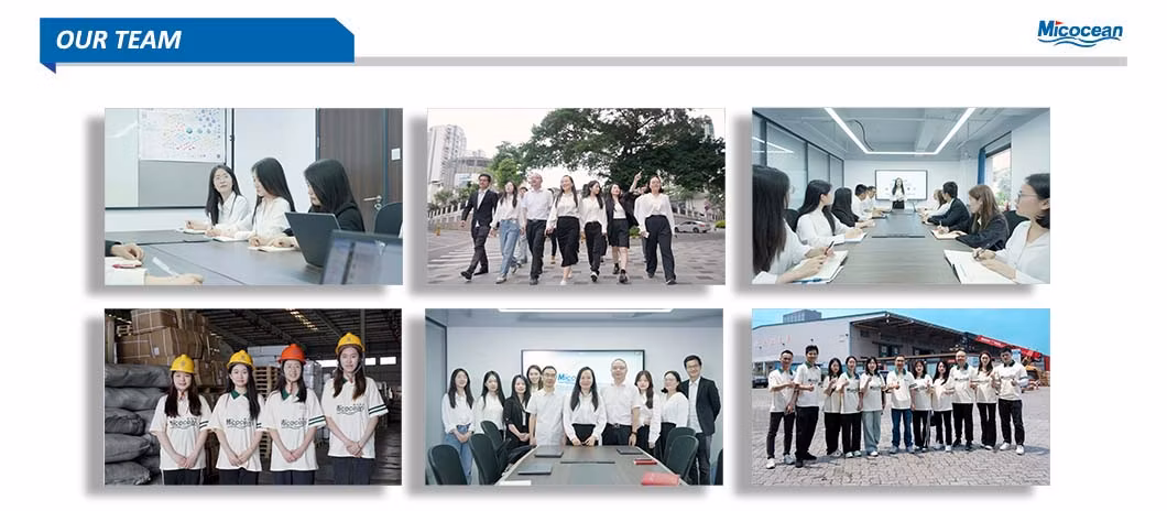 Freight Forwarder Logistics Company Cargo Service Shipping Agent From China to Arica, Chile