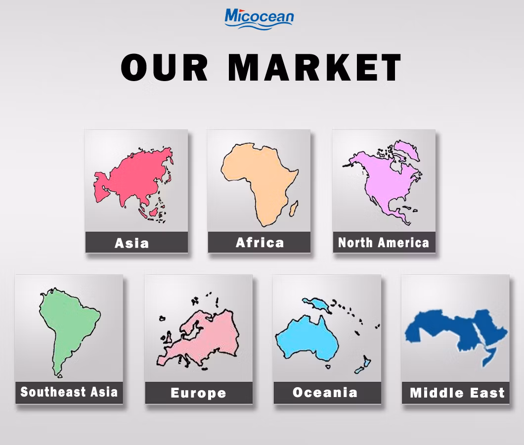 Freight Forwarder Logistics Company Cargo Service Shipping Agent From China to Arica, Chile