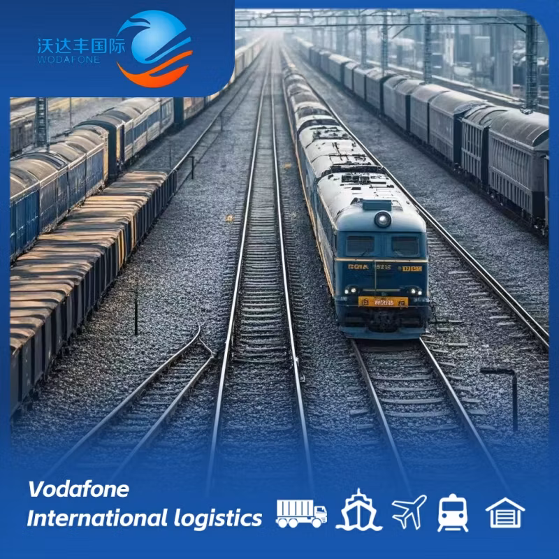 China Specializes in Maritime Cargo Transportation to The United States. Britain. European Logistics Door to Door Service