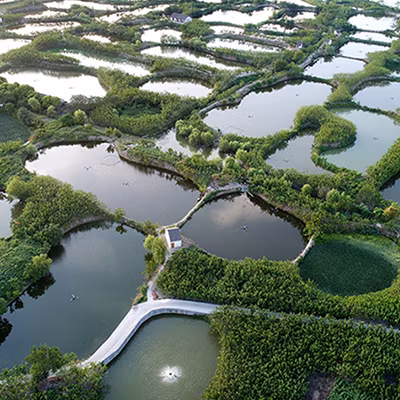 Four-Axis Carbon Fiber Arm Folding Agricultural Frame Drone Uav T30 Quick Plug-in 40 Kg Water Tank Farming Agriculture Sprayer Drone for Corn Irrigation