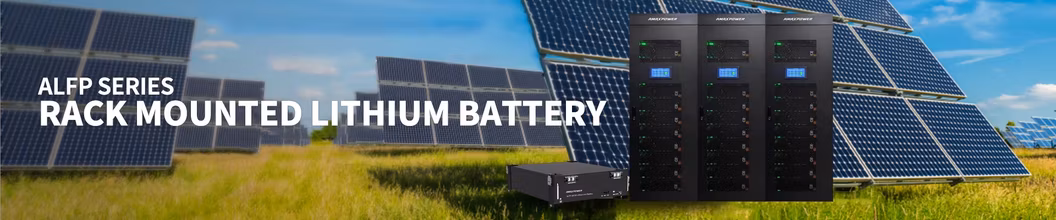Deep Cycle Energy Storage Rack Mounted 51.2V 10/15/20/30/5kwh Rechargeable LiFePO4 12V 24V 48V Lithium Ion 100ah 200ah 300ah Solar System Storage Battery