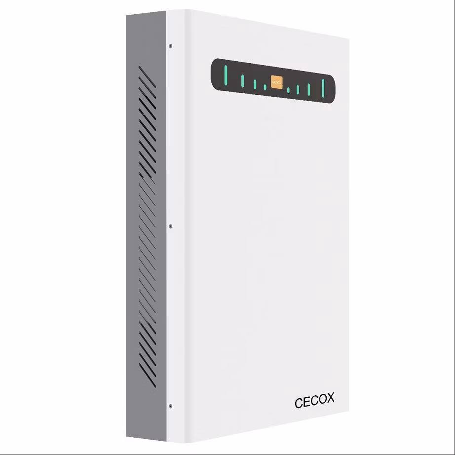 25.6V 51.2V 50ah 100ah 2.5kwh 5kwh BMS Wall Mounted LiFePO4 Lithium Battery for Solar (JX)