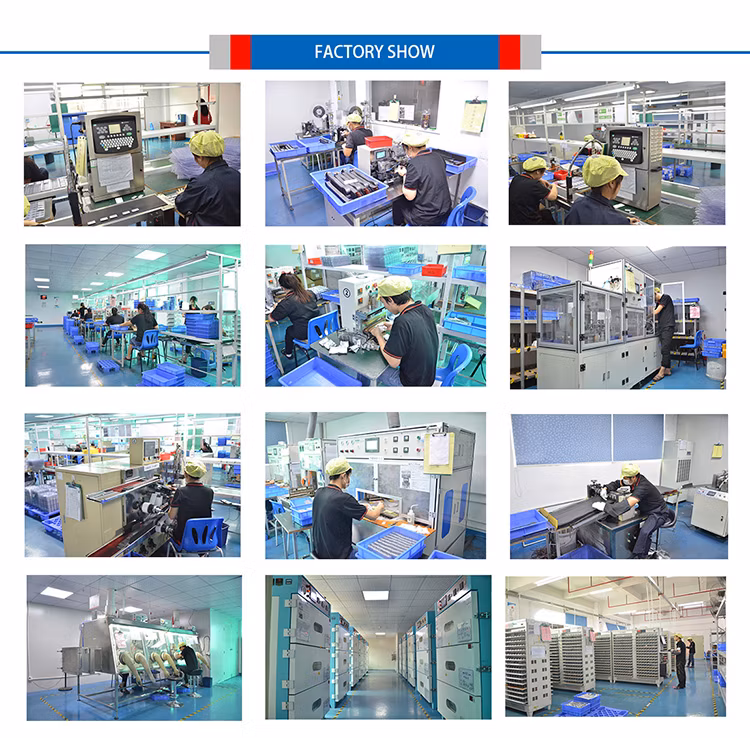 Lithium Ion Batteries 18650 26650 32700 Cell Pack Customize 12V 24V 36V 48V 60V 72V 10ah 20ah 30ah 40ah 50ah 60ah 80ah LiFePO4