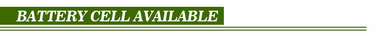 12V 24V 36V 48V 52V 10ah 20ah 12ah 60ah LiFePO4 Battery Lithium-Ion E-Bike/E-Scooter Battery