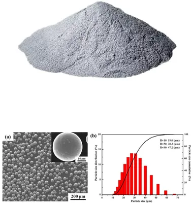 Metal Injection Molding Stainless Steel 304L Metal Powder for 3D Printing