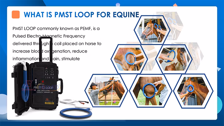 Horse Farm Animal Pet Pain Therapy Health Care Pmst Loop Electromagnetic Pulse Generator Magnetic Therapy Device