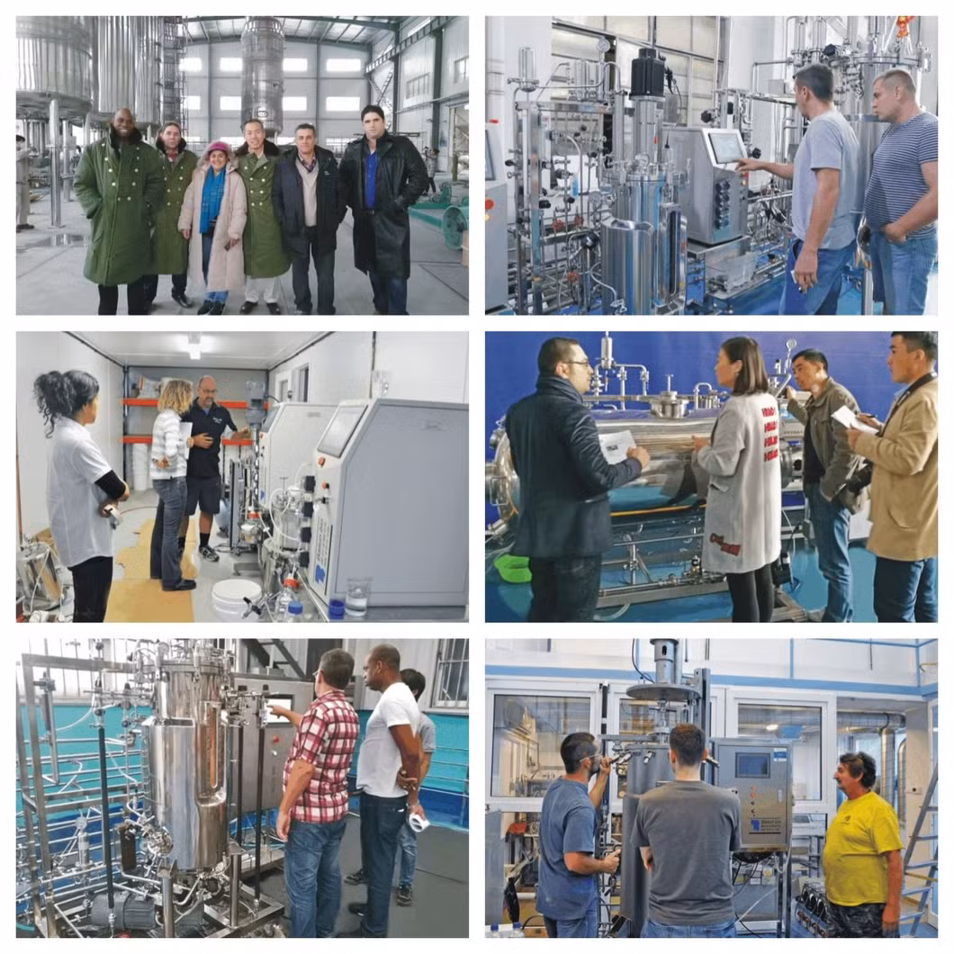 Yeast Automatic Production Line Equipment High Quality Fermenter Temporary Immersion Bioreactor Multistage Stainless-Steel Fermenter
