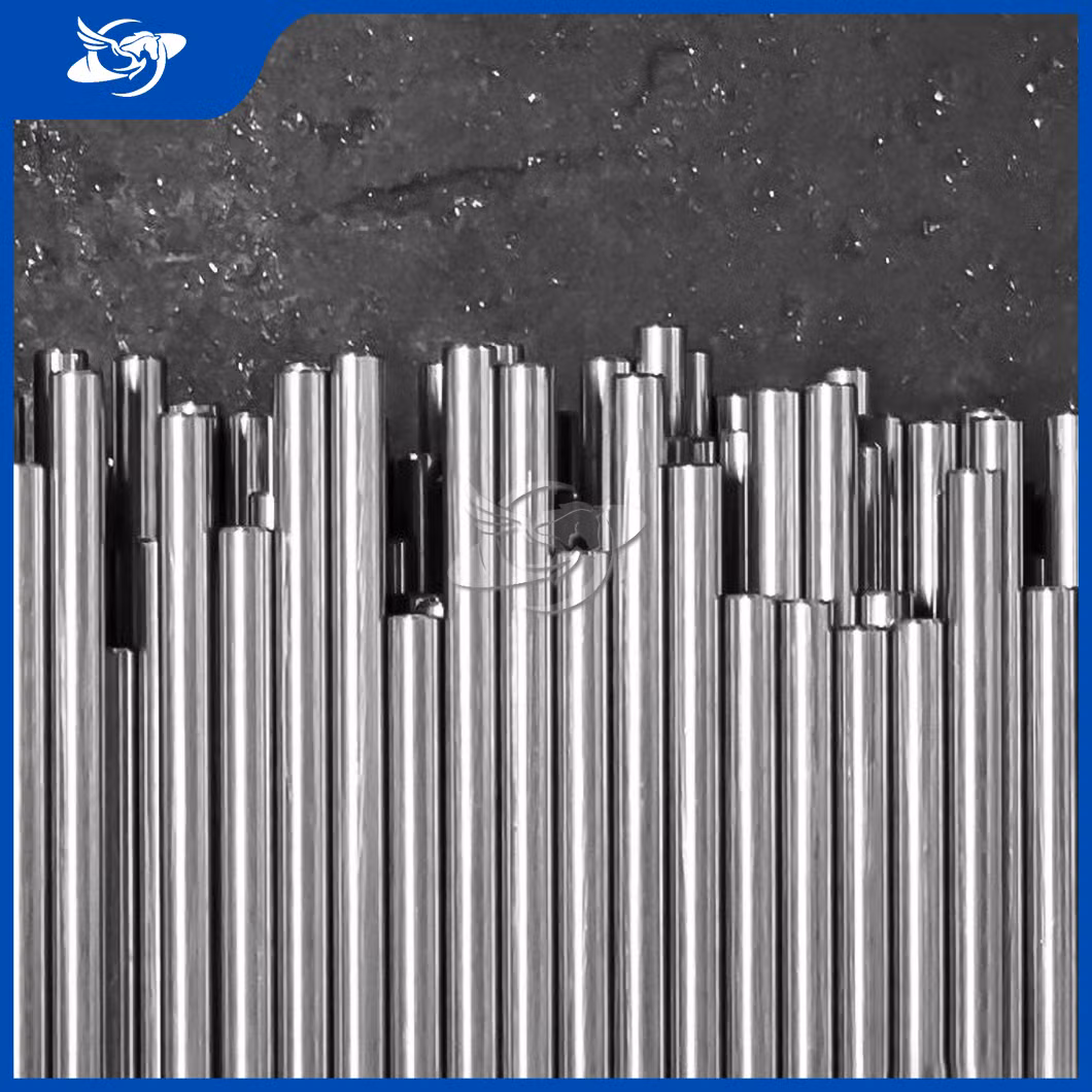 Longyu ASME A270-Bpe A269 Bright Annealed Tube Wholesale High Quality Ba Surface 304L Stainless Steel Pipe Tube Used in Biopharmaceuticals