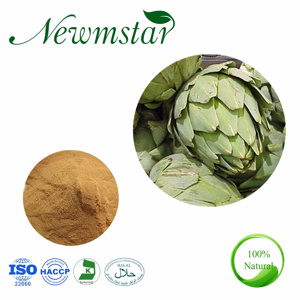 Natural Artichoke Extract Used as a Herbal Remedy for Indigestion