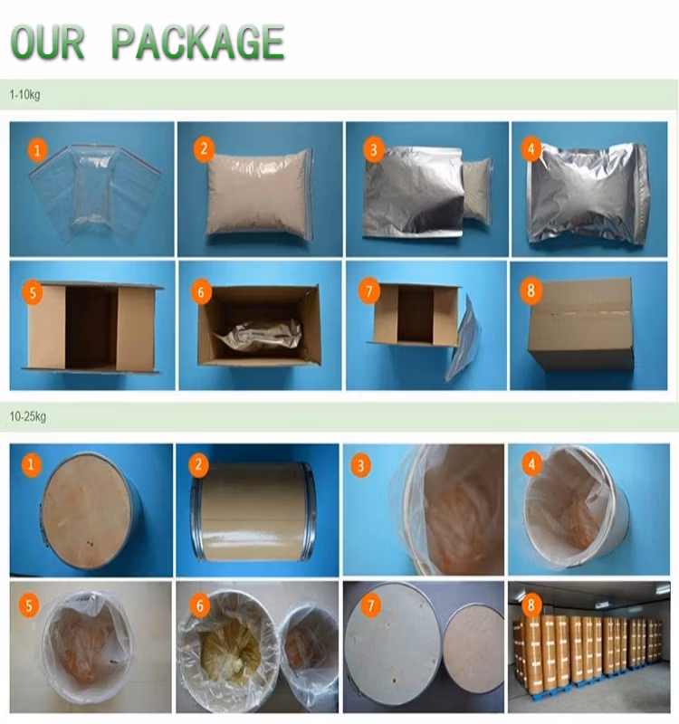 High Quality Cucumber Extract for Food Grade Formulations 4: 1~20: 1