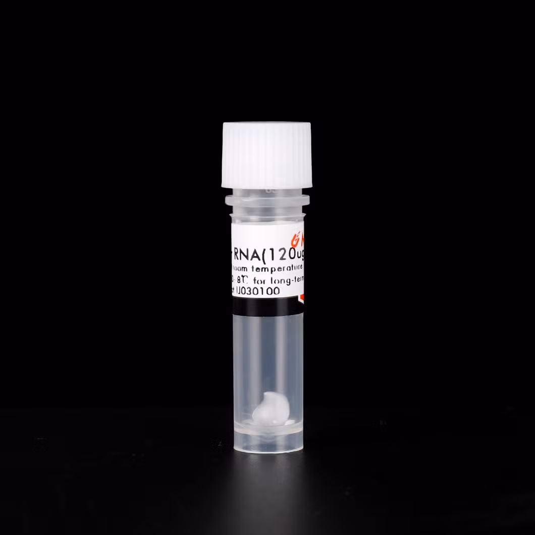 Hipure Bacterial DNA Kit From Cultures / Food