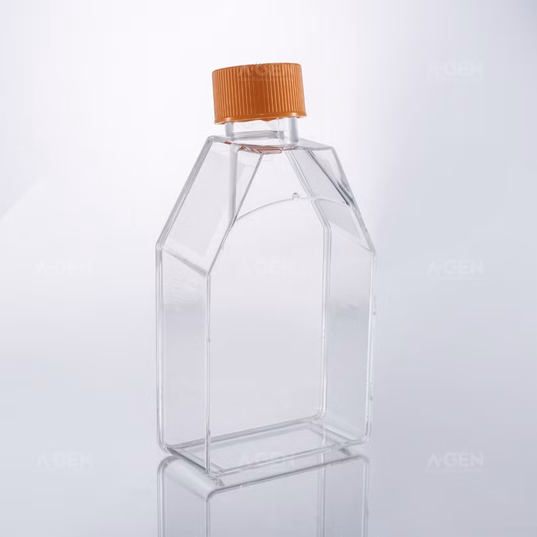 Healthy Biotech Culture Bottle Lab Consumables Cell Experiment Sterile Sealed Cap No Treated 75cm&sup2; Cell Culture Flask