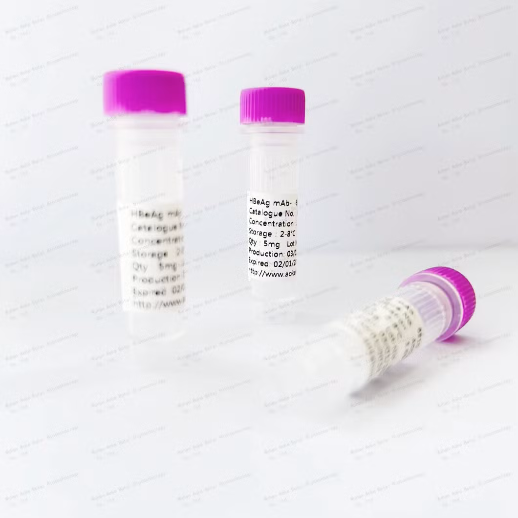 Monoclonal Anti-Methylglyoxal antibody produced in mouse for your research