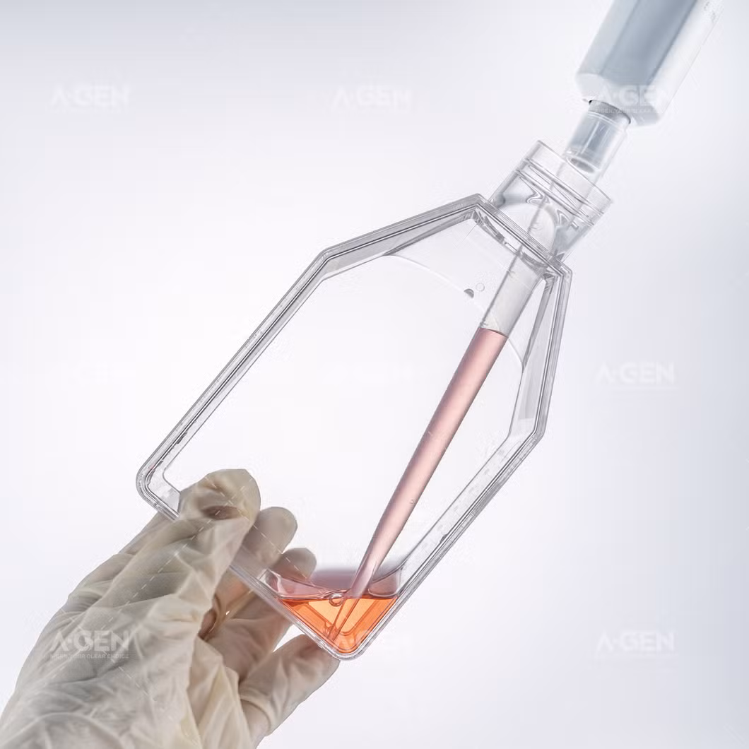 Healthy Biotech Culture Bottle Lab Consumables Cell Experiment Sterile Sealed Cap No Treated 75cm&sup2; Cell Culture Flask