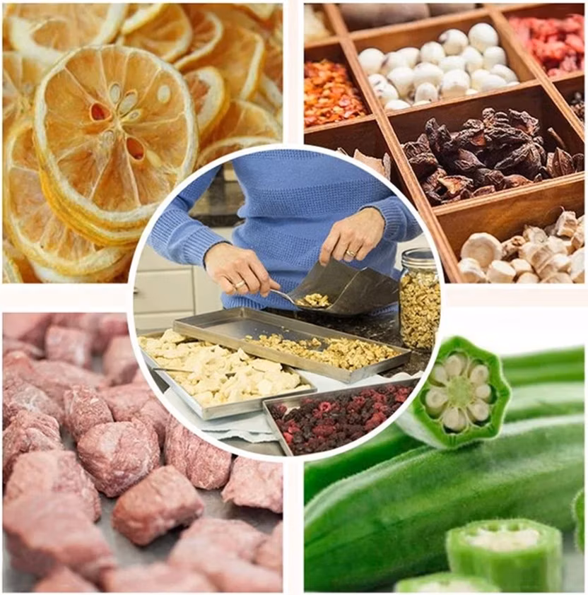 Ht-9s Freeze Dryer Machine for Food Industry