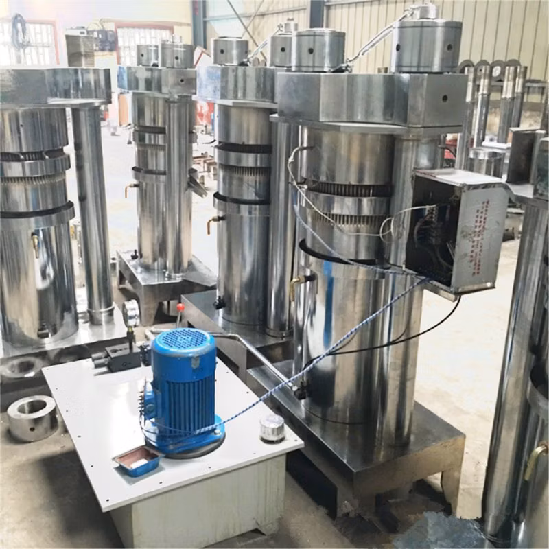 Hydraulic Cold Press Cocoa Butter Walnut Sesame Peanut Avocado Oil Press Processing Machine