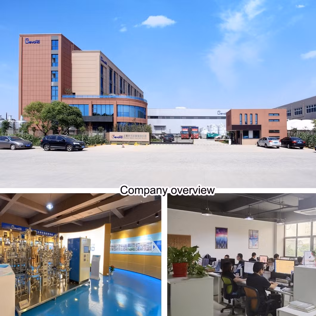 New Design Bioreactor System Fermentation Food Beverage Processing Essential Manufacturing Plants