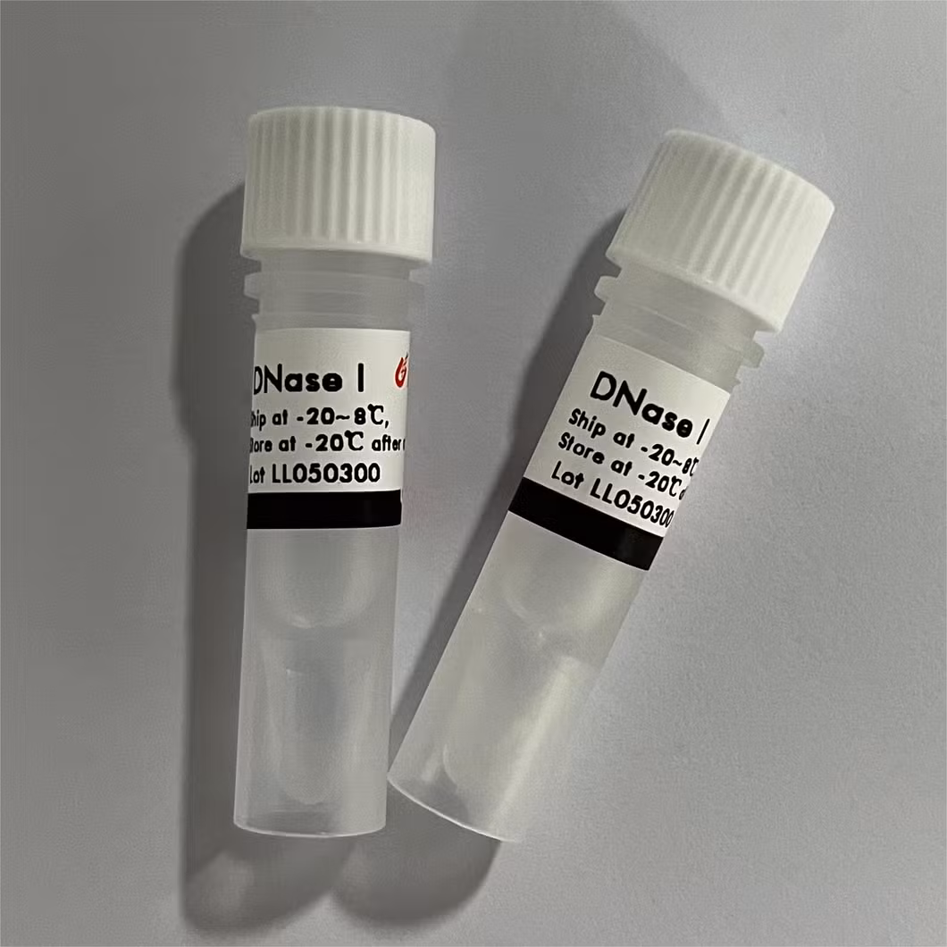 Magpure Universal Rna Kit Magnetic Beads Technology