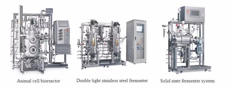 Biological Pharmacy Bioreactor Fermentation Plant Turnkey Solution